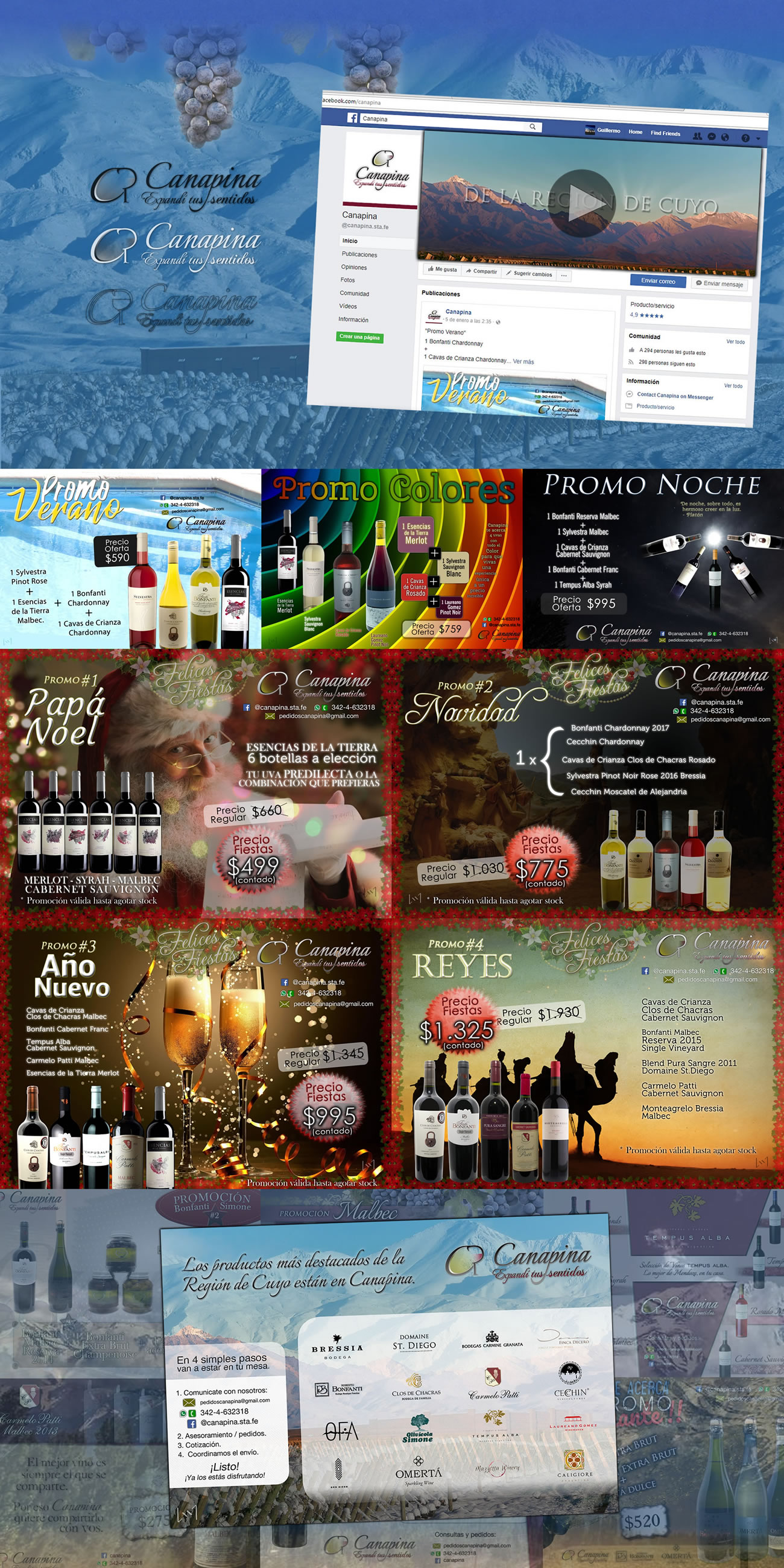 Image of Canapina | Brochures, Flyers, Brand, Social networks