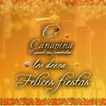 social media profile editing Canapina 2